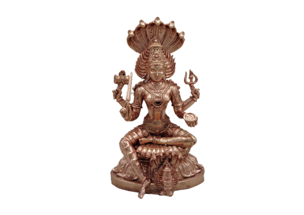 Bronze karumariamman statue